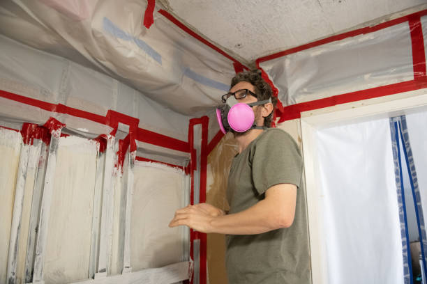 Best Crawl Space Mold Remediation  in Madison, AL