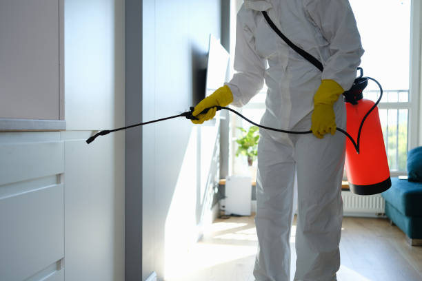Mold Documentation for Insurance Claims in Madison, AL