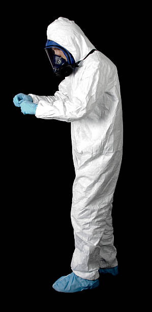 Best Attic Mold Removal  in Madison, AL
